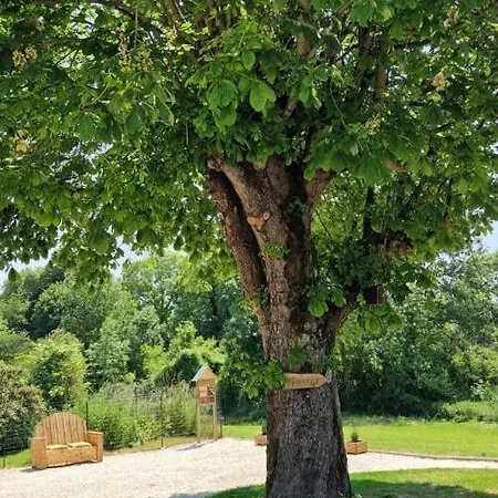 La Maison Des Delices Dosches