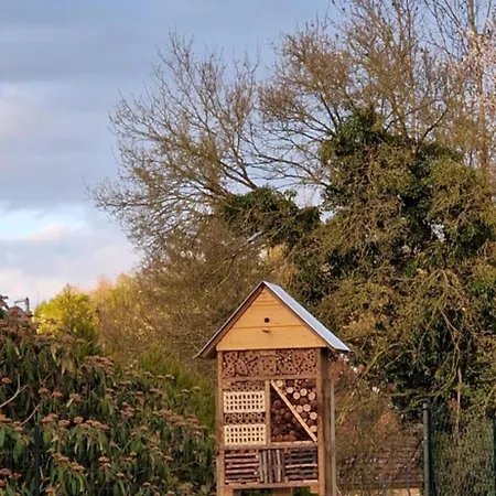 La Maison Des Delices Dosches